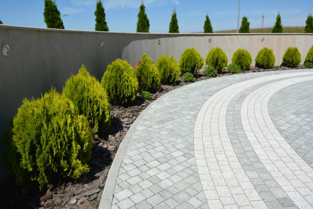 Best Driveway Paving Contractor  in Rugby, ND